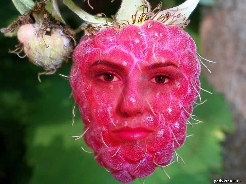 фрукт с лицолм человека в Фотошоп, photoshop