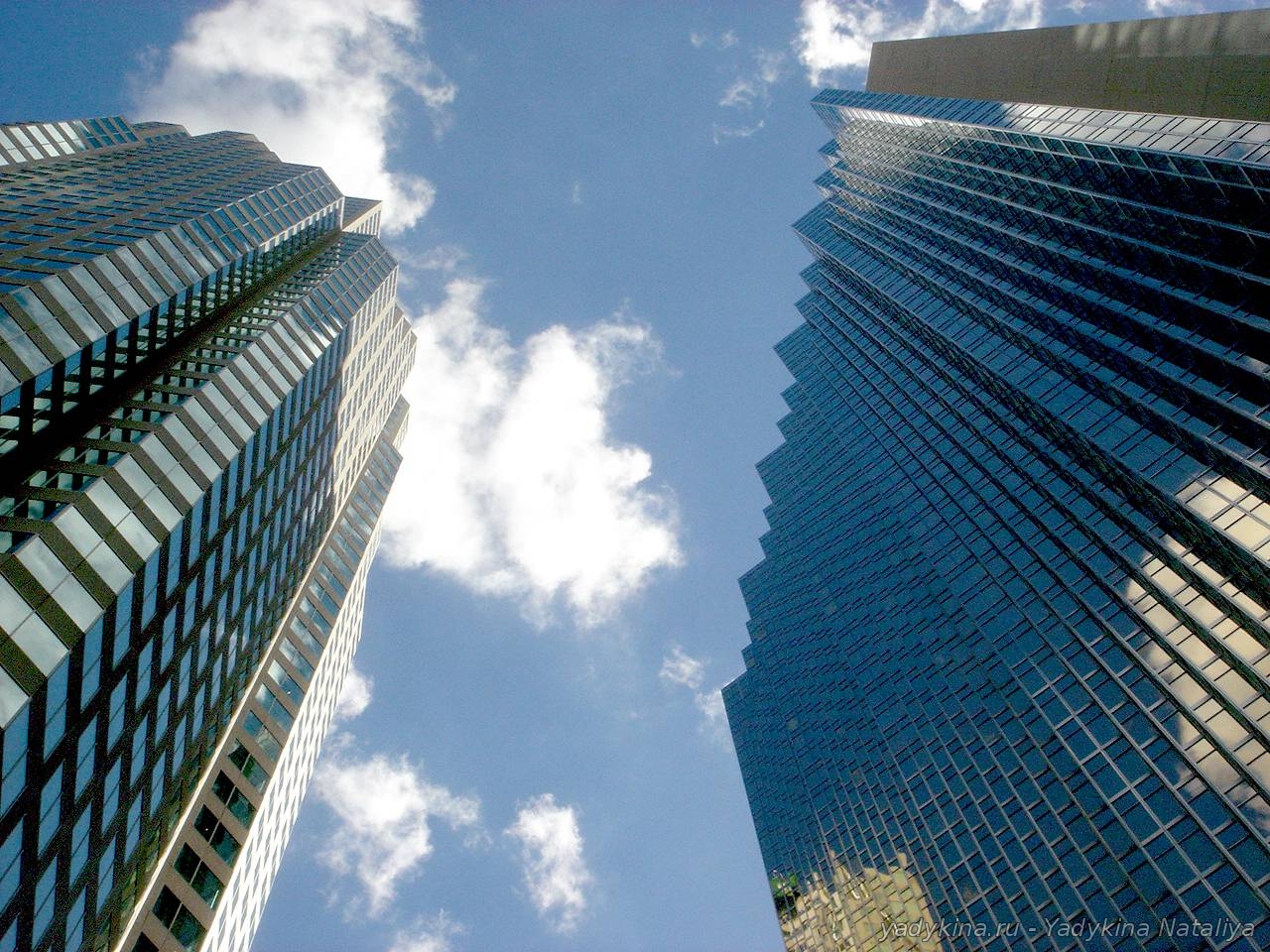 photoshop_business8