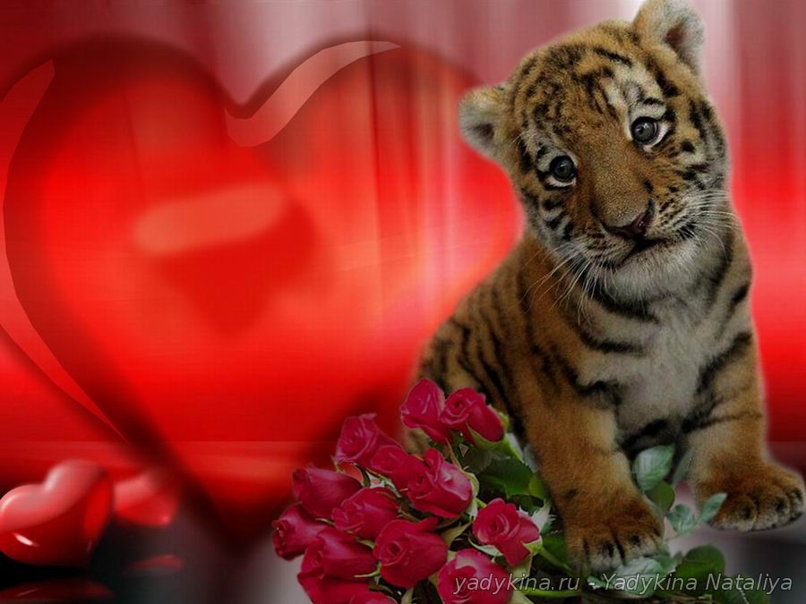 photoshop_valentinka9